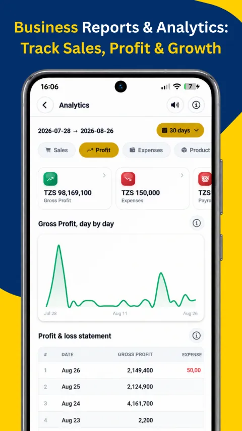 Business reports and analytics: sales, profit and growth